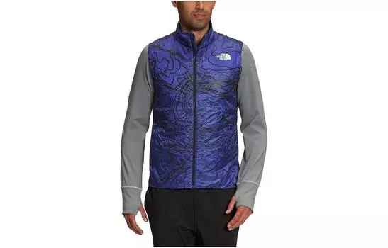 Мужской жилет THE NORTH FACE, цвет Blue