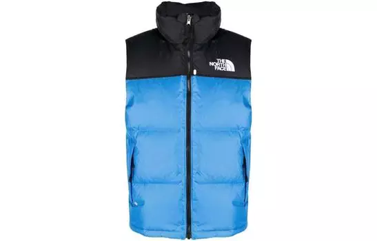 Мужской жилет THE NORTH FACE, цвет Blue
