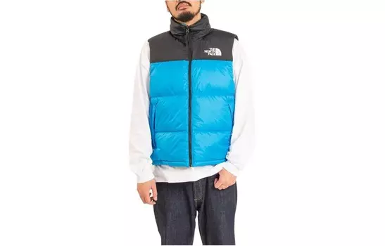 Мужской жилет THE NORTH FACE, цвет Blue
