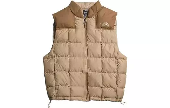 Мужской жилет THE NORTH FACE, цвет Brown