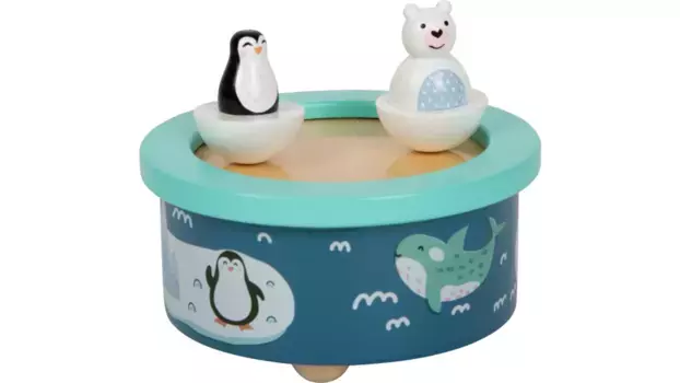 Музыкальная шкатулка arctic