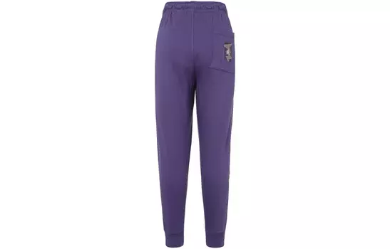 MVP Knit спортивные штаны мужские фиолетовые Jordan, фиолетовый