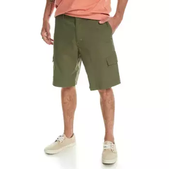 MW Cargo 20" Quiksilver Мужские шорты, зеленый