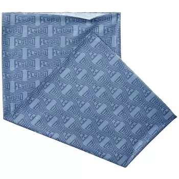 Набедренники Flylow Gobbler, синий