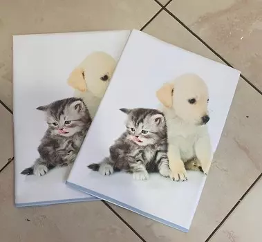 Набор детских полотенец Almatex Cat Cotton, 4055 см, 2 шт, лазурный