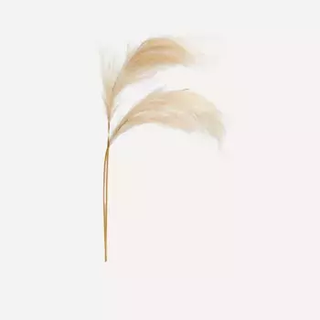 Набор из 2-х искусственных веточек из перьев пампаса El Corte Ingls, бежевый