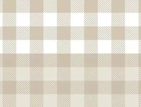 Набор из 2 х прямоугольных салфеток. Dmora, бежевый