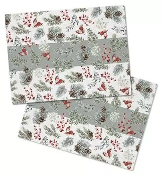 Набор из 2-х прямоугольных салфеток Dmora, 40x1x30 см, многоцветный