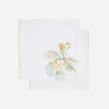 Набор из 2 хлопковых салфеток Campestre El Corte Ingls, разноцветный