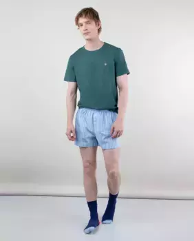 Набор из 2 мужских трусов-боксеров в полоску синего и зеленого цвета с гусями El Ganso