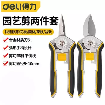 Набор из двух предметов Deli, ножницы из нержавеющей стали, ножницы для цветов, инструменты, садовые ножницы, бутик, черный DL580243