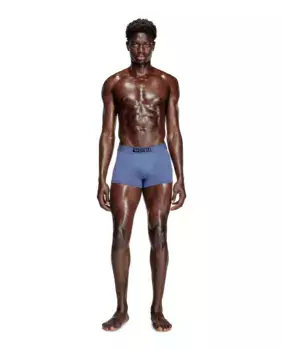 Набор из трех мужских боксерских шорт с логотипом на талии Diesel, чёрный