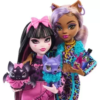 Набор кукол Mattel Monster High с двумя питомцами