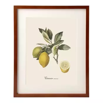 Набор листов Dybahl Lemons + Marco Thor El Corte Ingls, естественный