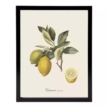 Набор листов Dybahl Lemons + Marco Thor El Corte Ingls, черный