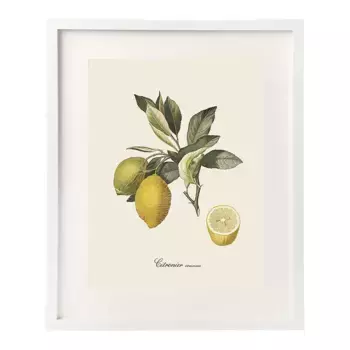 Набор листов Dybahl Lemons + Marco Thor El Corte Ingls, белый