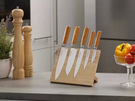 Набор ножей Echtwerk, мультиколор