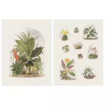 Набор постеров Ikea Bild Tropical Terraria, 30х40 см, 2 шт