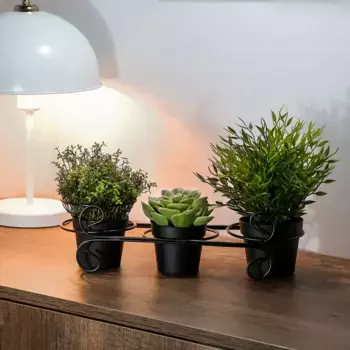 Набор посуды Evila Originals, черный