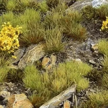 Набор пучков GamersGrass Highland Inna marka