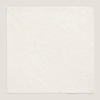 Набор салфеток Zara Home Jacquard Leaf, 2 шт, светло-бежевый