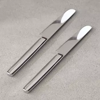 Набор столовых ножей Zara Home+ By Vincent Van Duysen, 2 предмета, стальной