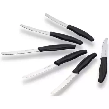 Набор столовых приборов ECHTWERK «(Нож для хлеба)», (набор, 6 шт.), зубчатый край, эргономичная пластиковая ручка, черный