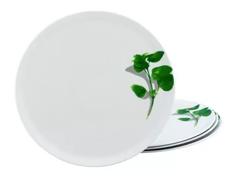 Набор тарелок для пиццы 4 шт Creatable, зеленый