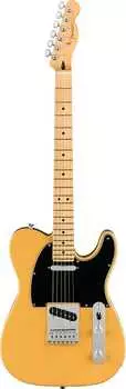 Накладка на гриф Fender Player Telecaster Butterscotch из светлого клена Player Telecaster Butterscotch Blonde Maple Fingerboard