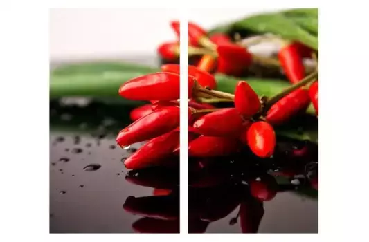 Накладка на плиту Wall-Art "Накладка на кухонную плиту Чили", (комплект, 2 шт.), современная защитная накладка 60х52 см, красный