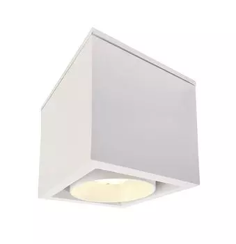 Накладной потолочный светильник Deko-Light, Ceti, 220-240 В переменного тока/50-60 Гц, 9,20 Вт, белый