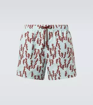 Напечатанные плавки Zegna, Sorgente