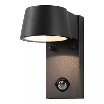 Наружный настенный светильник Paulmann Capea I