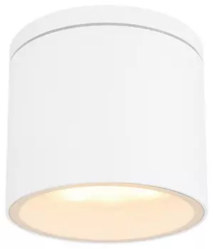 Наружный потолочный светильник Globo, 10,8x9,6 см, белый