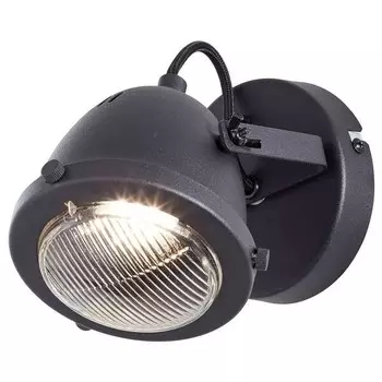 Настенный светильник Brilliant Carmen