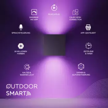 Настенный светильник Calex, черный