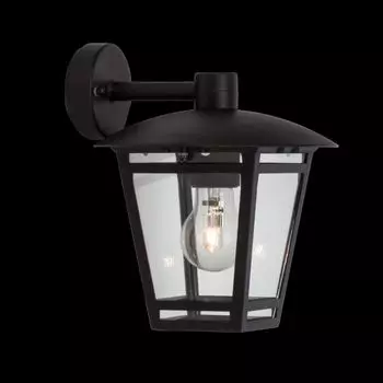 Настенный светильник для наружного освещения, высота 24 см, 21 см, E27, макс. 40 Вт, IP44, металл/стекло. Lightbox, черный