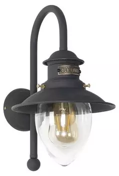 Настенный светильник Licht-Erlebnisse AMALFI цвет bronze dunkel matt/klar