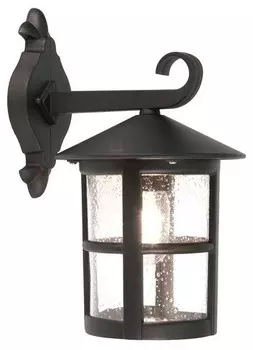 Настенный светильник Licht-Erlebnisse ASHFORD, черный