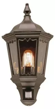 Настенный светильник Licht-Erlebnisse CARTER, черный