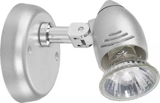 Настенный светильник Licht-Erlebnisse COLVILLE, серебряный