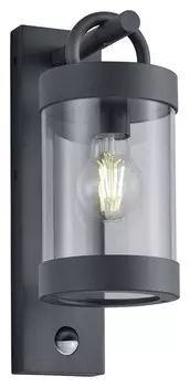 Настенный светильник на улицу Trio Leuchten, 12,5x33x18,6 см, антрацит