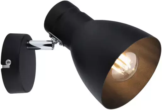 Настенный светильник Paulmann "Davy", 1 лампочка, лампа E27 | без лампочки, Е27 Высота: 14 см, черный