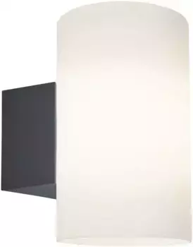 Настенный светильник Paulmann на 1 лампочку высота: 20,0 см, цвет anthrazit