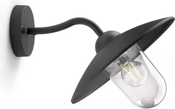 Настенный светильник Philips, черный