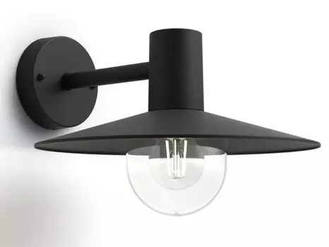 Настенный светильник Philips Skua, черный