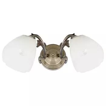 Настенный светильник Spot Light Venossa