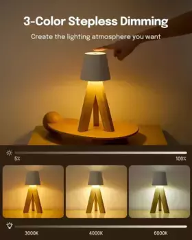 Настольная лампа AKKEE