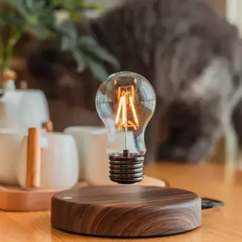 Настольная лампа DTC GmbH