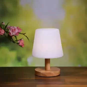 Настольная лампа Kaemingk